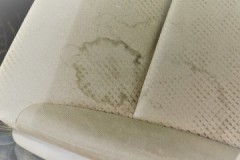 How to effectively and quickly remove odor and vomit stains from sofa upholstery?