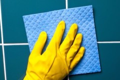 Chic, brillance, beauté ou comment nettoyer les carreaux de la salle de bain de la plaque et de la saleté