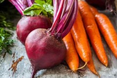 Important rules for storing carrots and beets in the cellar for the winter