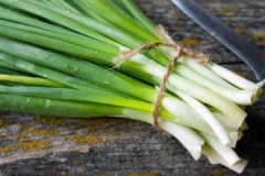 Comment conserver les oignons verts frais au réfrigérateur pendant longtemps