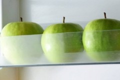 Topical question: can apples be kept in the refrigerator?