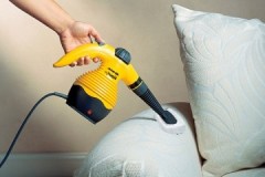 Will a steam generator help you get rid of bed bugs and how to use it correctly?