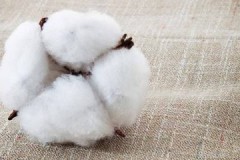 Important tips and advice on how to wash cotton