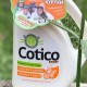 รีวิวเจลสำหรับซักชุดกีฬาและรองเท้า Cotico: ข้อดีข้อเสียค่าใช้จ่ายความคิดเห็นของผู้บริโภค