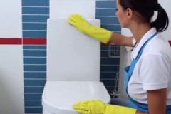 What do you need to know about a toilet cleaning schedule?